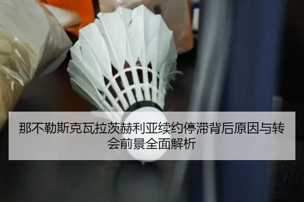 那不勒斯克瓦拉茨赫利亚续约停滞背后原因与转会前景全面解析